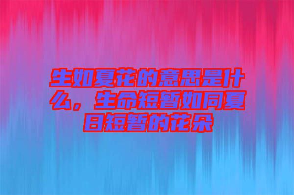 生如夏花的意思是什么，生命短暫如同夏日短暫的花朵