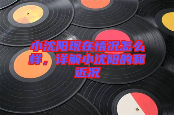 小沈陽(yáng)現(xiàn)在情況怎么樣，詳解小沈陽(yáng)的和近況