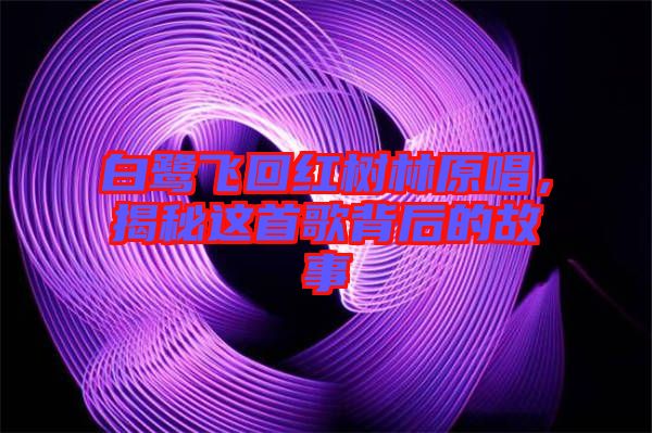 白鷺飛回紅樹林原唱，揭秘這首歌背后的故事