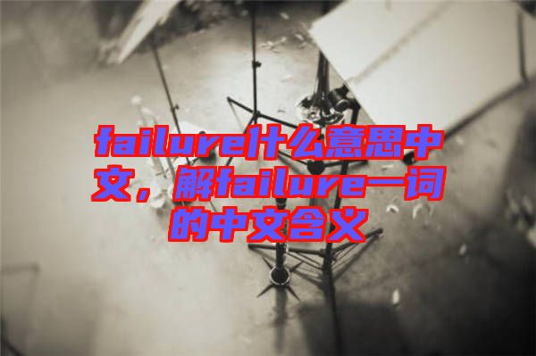 failure什么意思中文，解failure一詞的中文含義