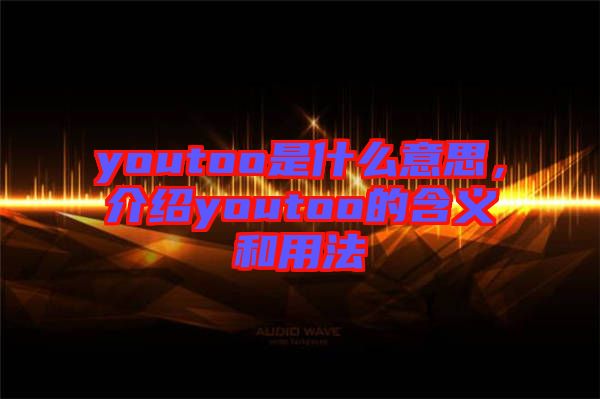 youtoo是什么意思，介紹youtoo的含義和用法