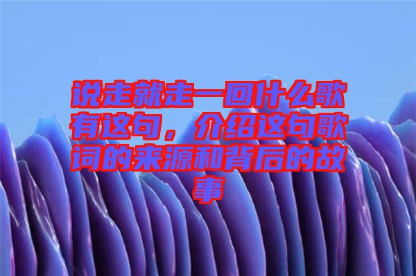 說走就走一回什么歌有這句，介紹這句歌詞的來源和背后的故事