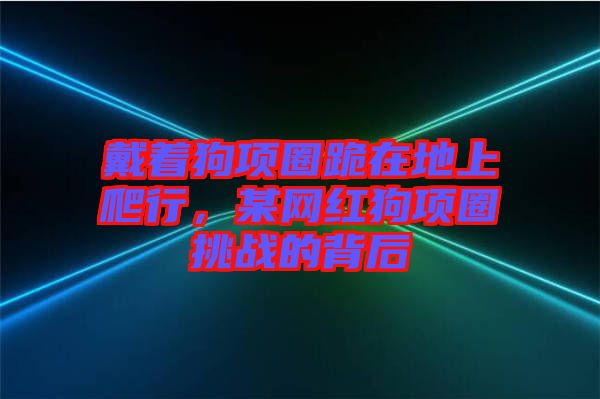 戴著狗項圈跪在地上爬行，某網紅狗項圈挑戰(zhàn)的背后