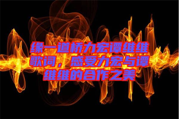 緣一道橋力宏譚維維歌詞，感受力宏與譚維維的合作之美
