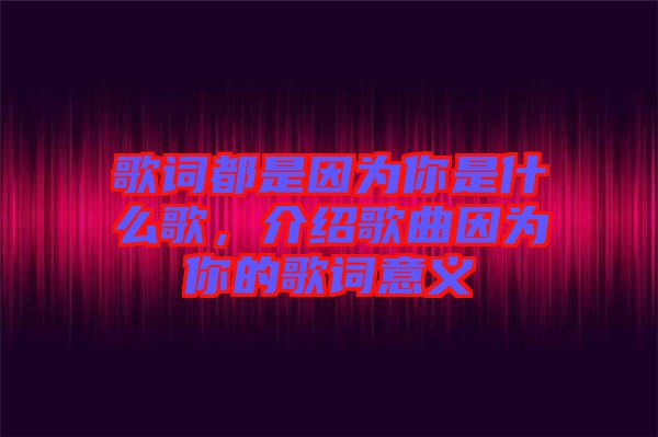 歌詞都是因?yàn)槟闶鞘裁锤?，介紹歌曲因?yàn)槟愕母柙~意義