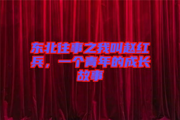 東北往事之我叫趙紅兵，一個(gè)青年的成長(zhǎng)故事