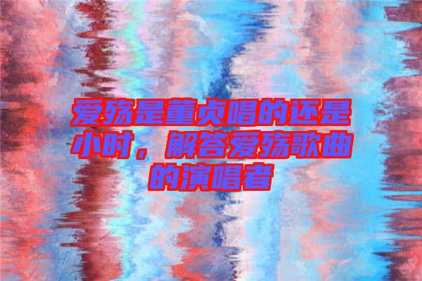 愛殤是董貞唱的還是小時(shí)，解答愛殤歌曲的演唱者