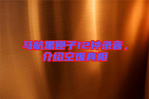 馬航黑匣子12鐘錄音，介紹空難真相