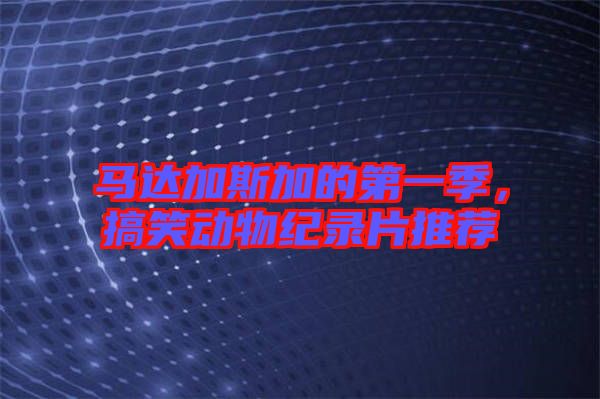 馬達(dá)加斯加的第一季，搞笑動(dòng)物紀(jì)錄片推薦