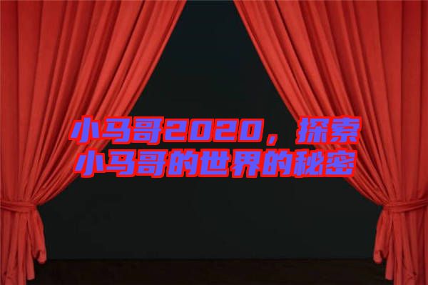 小馬哥2020，探索小馬哥的世界的秘密