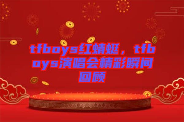 tfboys紅蜻蜓，tfboys演唱會精彩瞬間回顧