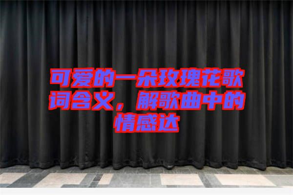 可愛的一朵玫瑰花歌詞含義，解歌曲中的情感達