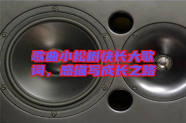 歌曲小松樹快長大歌詞，感描寫成長之路