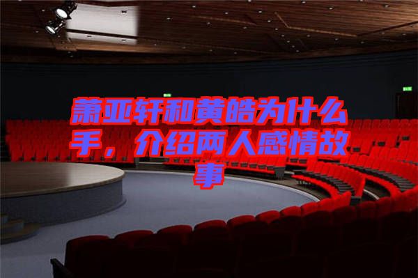 蕭亞軒和黃皓為什么手，介紹兩人感情故事