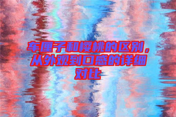 車?yán)遄雍蜋烟业膮^(qū)別，從外觀到口感的詳細(xì)對(duì)比