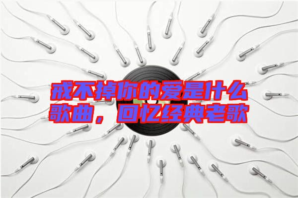 戒不掉你的愛(ài)是什么歌曲，回憶經(jīng)典老歌
