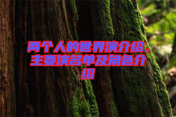 兩個(gè)人的世界演介紹，主要演名單及角色介紹