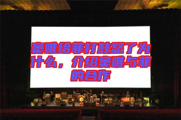 竇唯給菲打鼓怒了為什么，介紹竇唯與菲的合作