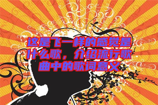 這是飛一樣的感覺是什么歌，介紹流行歌曲中的歌詞意義