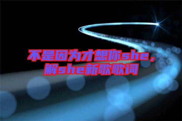 不是因為才想你she，解she新歌歌詞