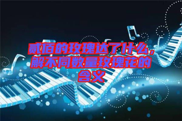 貳佰的玫瑰達(dá)了什么，解不同數(shù)量玫瑰花的含義