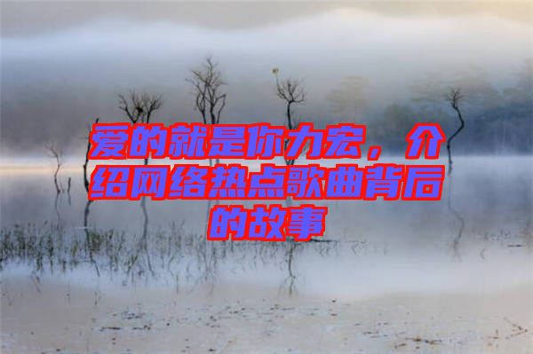 愛(ài)的就是你力宏，介紹網(wǎng)絡(luò)熱點(diǎn)歌曲背后的故事