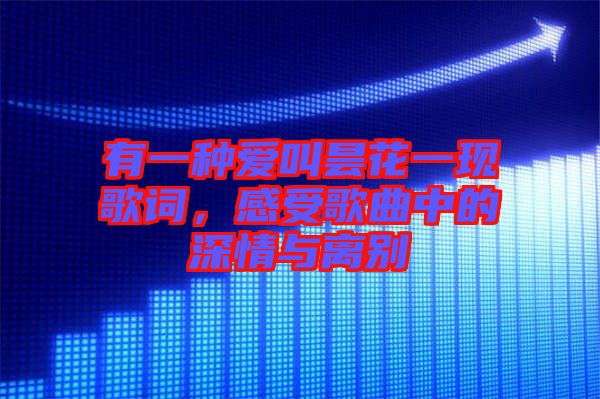 有一種愛叫曇花一現(xiàn)歌詞，感受歌曲中的深情與離別