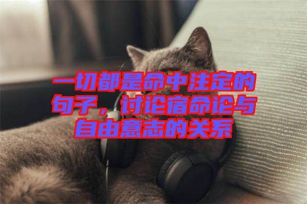一切都是命中注定的句子，討論宿命論與自由意志的關系