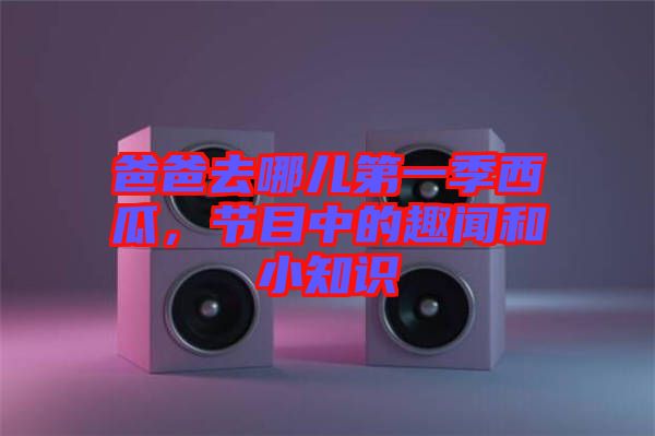爸爸去哪兒第一季西瓜，節(jié)目中的趣聞和小知識