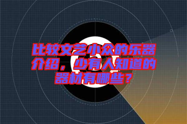 比較文藝小眾的樂器介紹，少有人知道的器材有哪些？