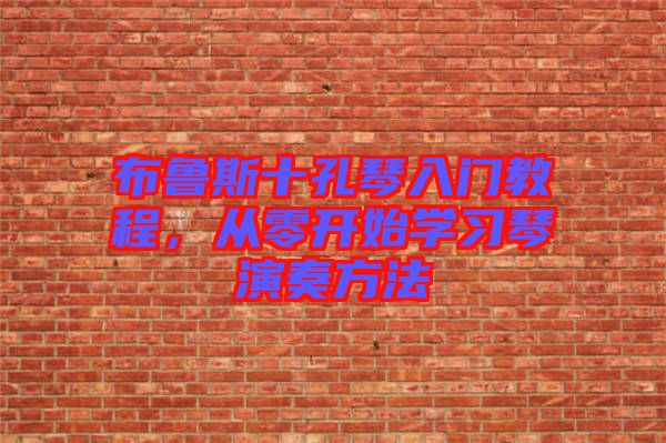 布魯斯十孔琴入門教程，從零開始學(xué)習琴演奏方法
