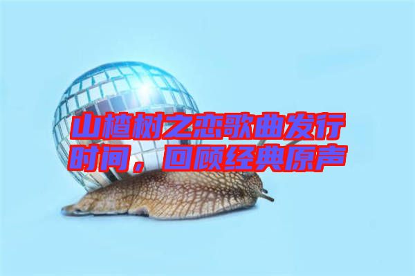 山楂樹(shù)之戀歌曲發(fā)行時(shí)間，回顧經(jīng)典原聲
