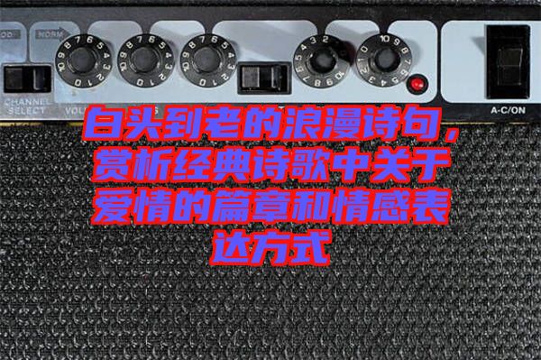 白頭到老的浪漫詩(shī)句，賞析經(jīng)典詩(shī)歌中關(guān)于愛(ài)情的篇章和情感表達(dá)方式
