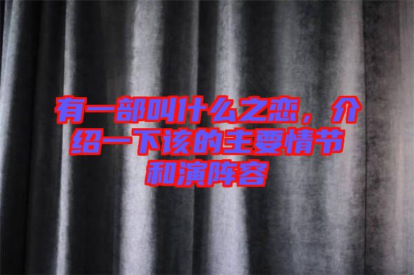 有一部叫什么之戀，介紹一下該的主要情節(jié)和演陣容