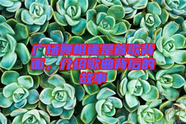 廣場(chǎng)舞相逢是首歌背面，介紹歌曲背后的故事