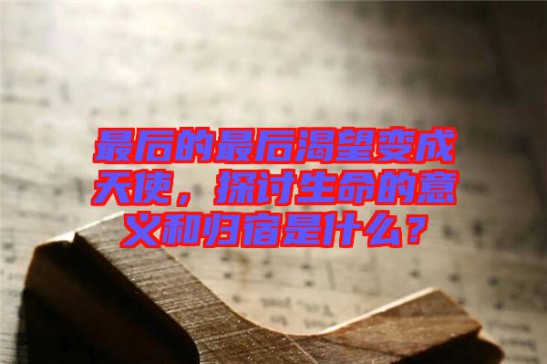 最后的最后渴望變成天使，探討生命的意義和歸宿是什么？