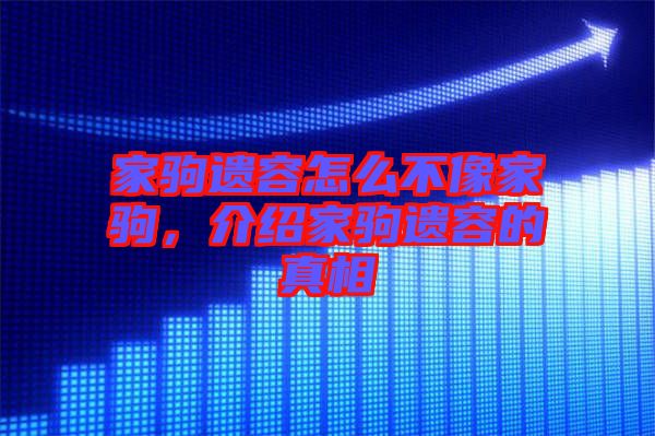 家駒遺容怎么不像家駒，介紹家駒遺容的真相