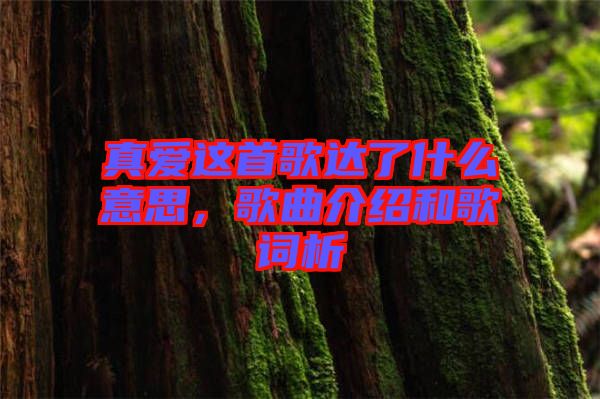 真愛這首歌達(dá)了什么意思，歌曲介紹和歌詞析