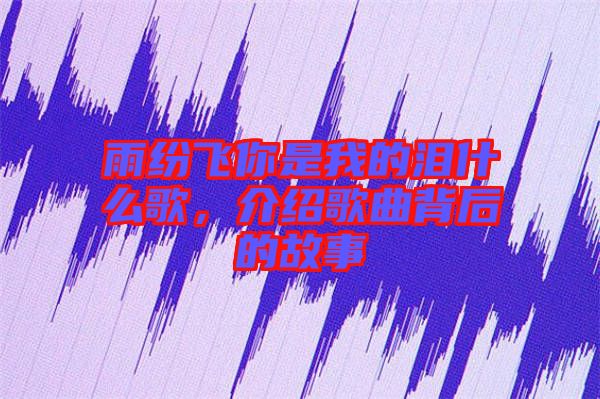 雨紛飛你是我的淚什么歌，介紹歌曲背后的故事