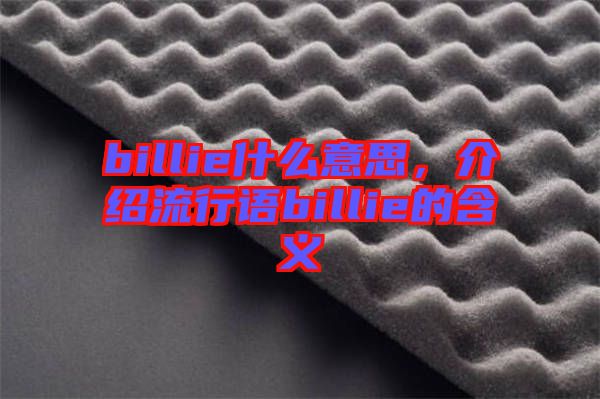 billie什么意思，介紹流行語billie的含義