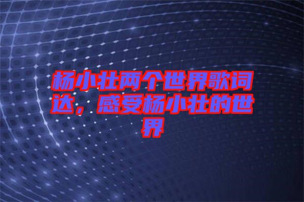 楊小壯兩個(gè)世界歌詞達(dá)，感受楊小壯的世界
