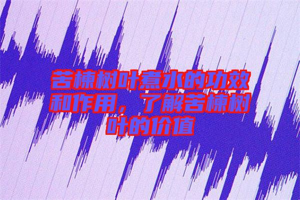 苦楝樹(shù)葉煮水的功效和作用，了解苦楝樹(shù)葉的價(jià)值