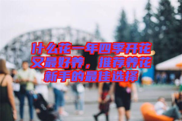什么花一年四季開花又最好養(yǎng)，推薦養(yǎng)花新手的最佳選擇