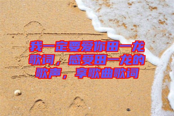 我一定要愛(ài)你田一龍歌詞，感受田一龍的歌聲，享歌曲歌詞