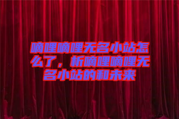 嘀哩嘀哩無名小站怎么了，析嘀哩嘀哩無名小站的和未來