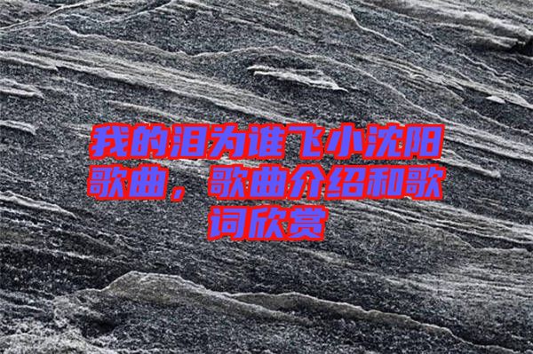 我的淚為誰飛小沈陽歌曲，歌曲介紹和歌詞欣賞