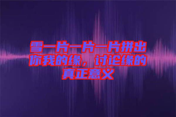 雪一片一片一片拼出你我的緣，討論緣的真正意義