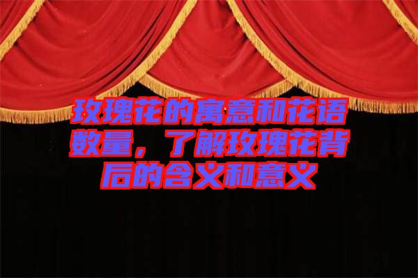 玫瑰花的寓意和花語數(shù)量，了解玫瑰花背后的含義和意義