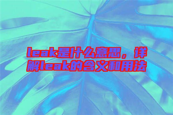leak是什么意思，詳解leak的含義和用法