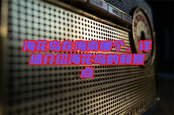 ?；◢u在海南哪個，詳細介紹?；◢u的和景點
